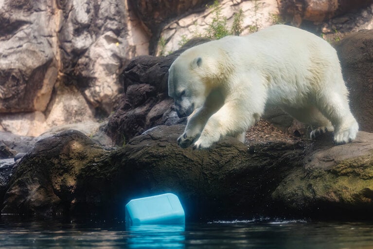 イッちゃんとライ。