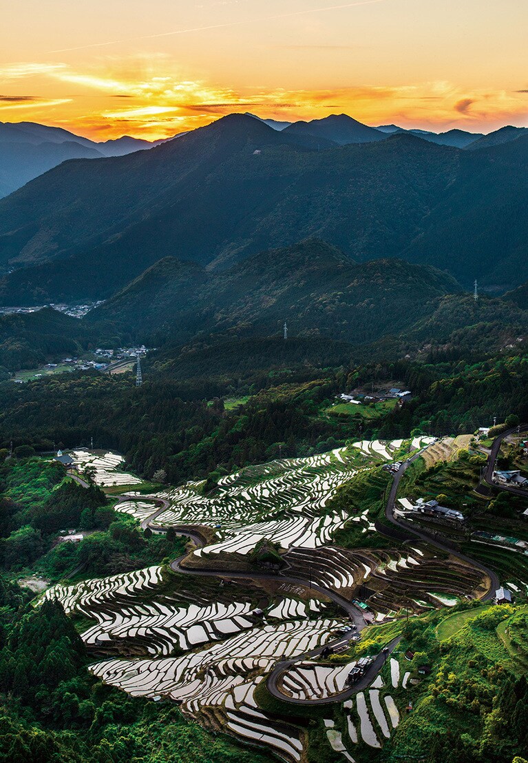 丸山千枚田／三重県