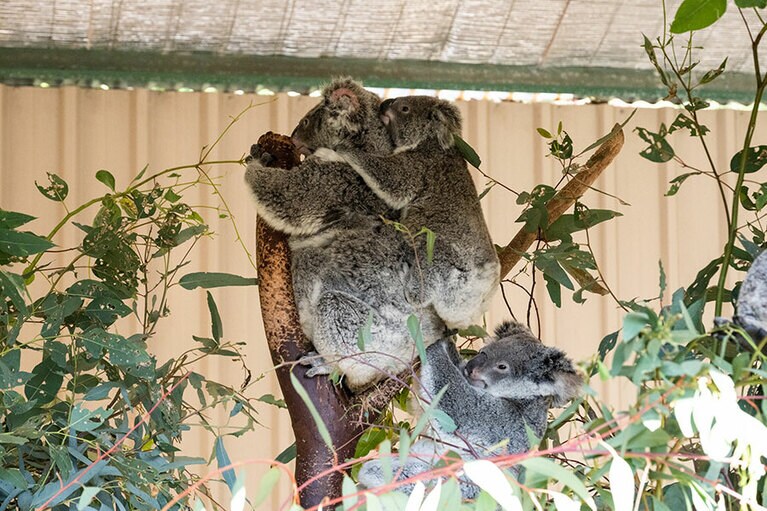 ゆっくりと移動。