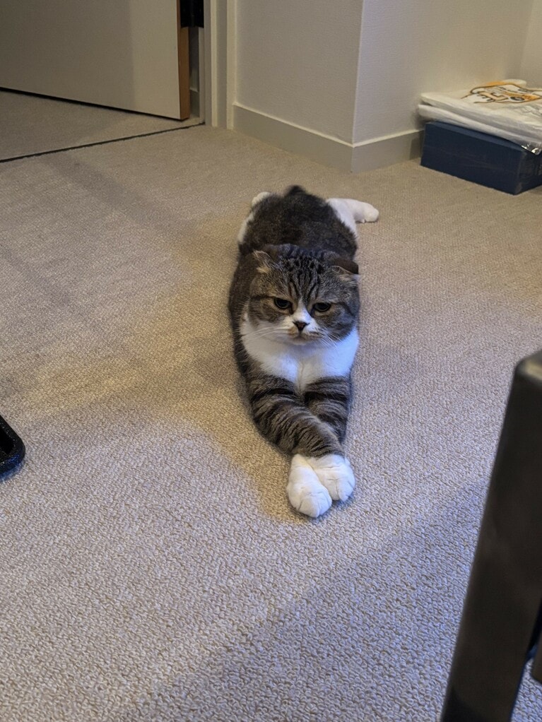 （阪本さん提供）