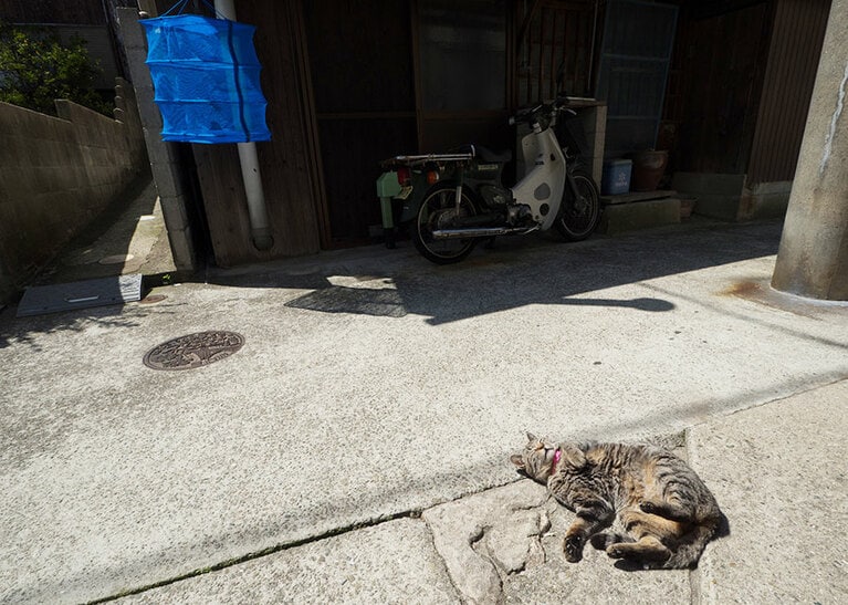 あったかい場所で日向ぼっこ中。