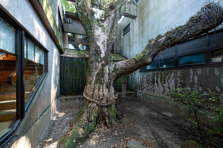 柳川藩主立花邸 御花にて。