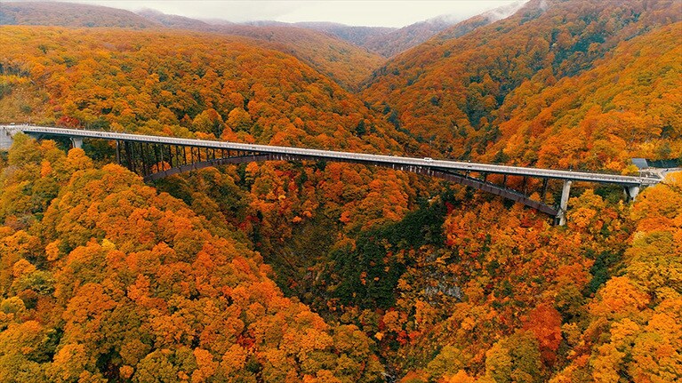 城ヶ倉大橋の紅葉。