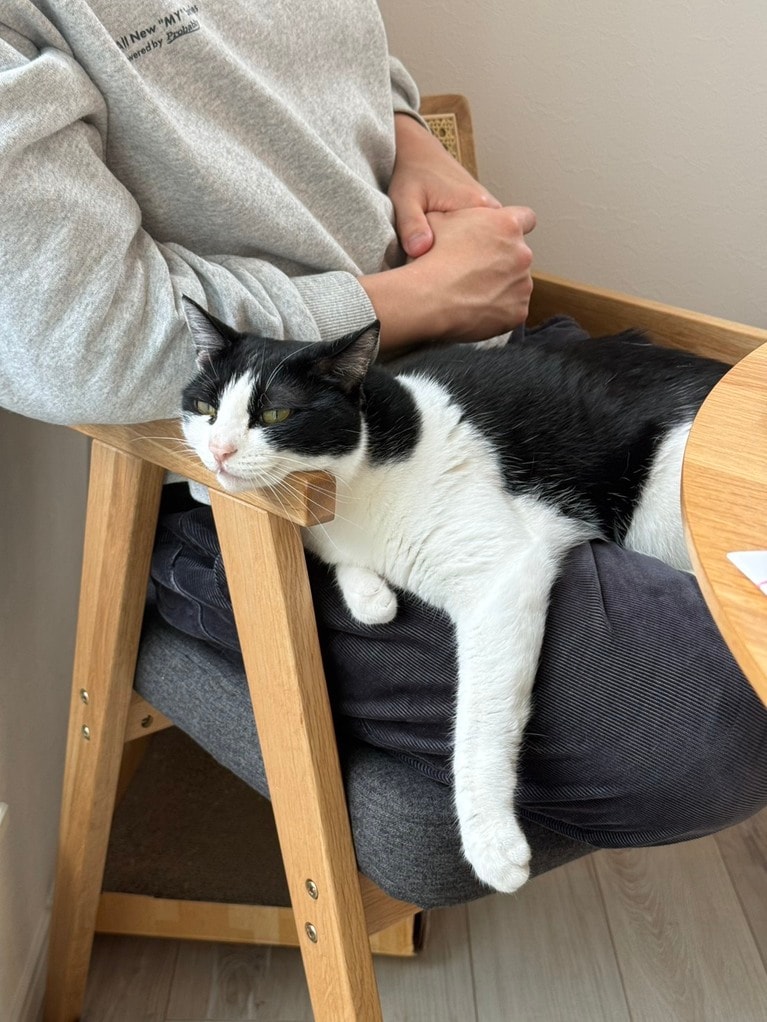 秋山さんの膝でくつろぐググちゃん。