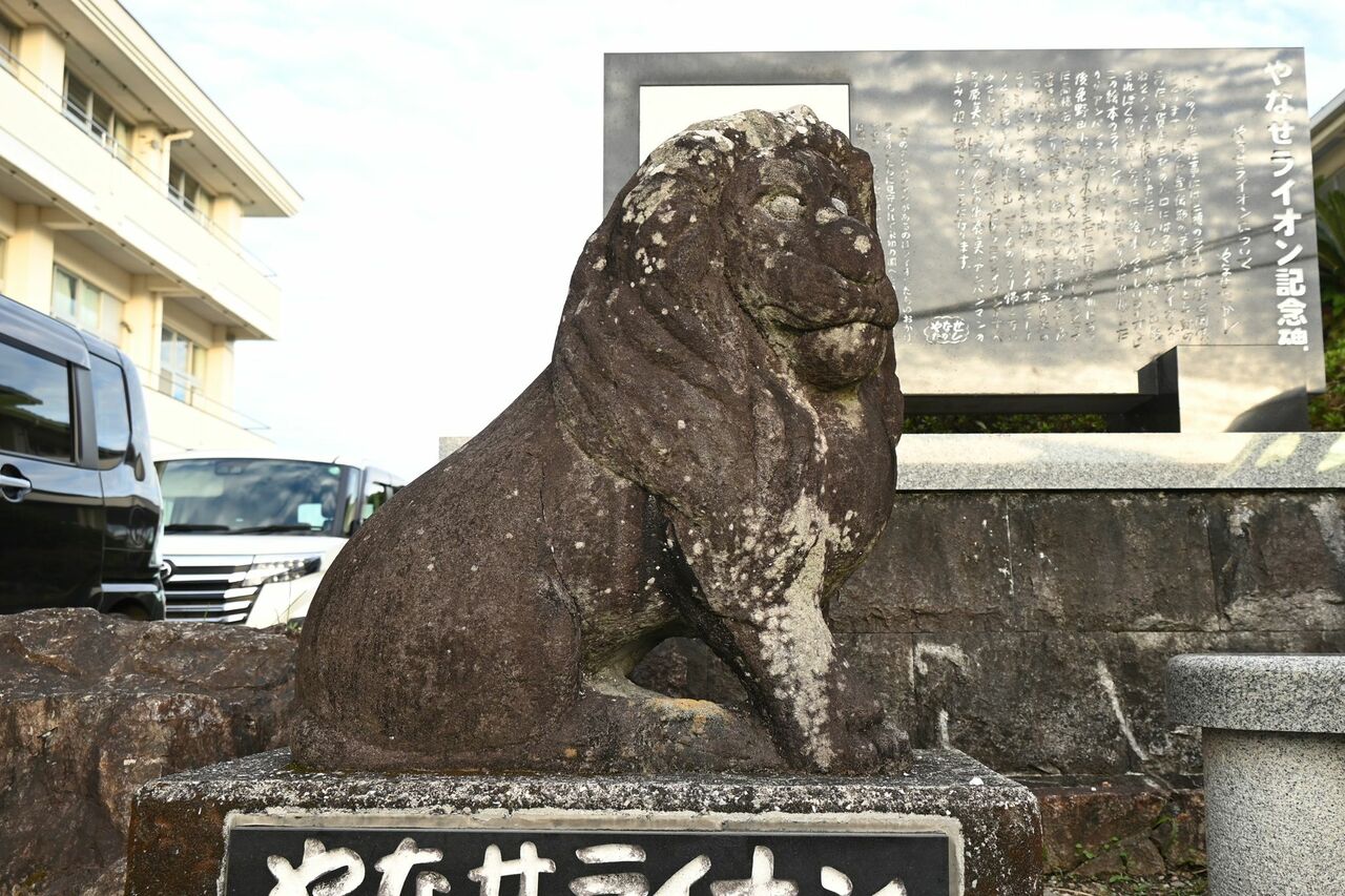 中庭で夕陽に照らされるライオンの石像「やなせライオン」(後免野田小学校)