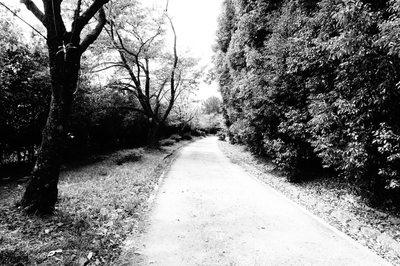 写真はイメージです。写真：travelclock/イメージマート