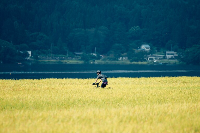 黄金に染まった稲穂のあぜ道を、走る。