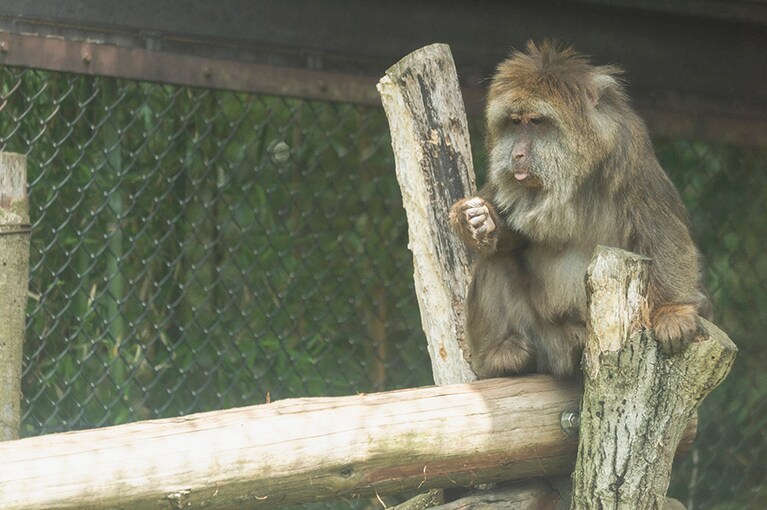 指をまじまじ見て。