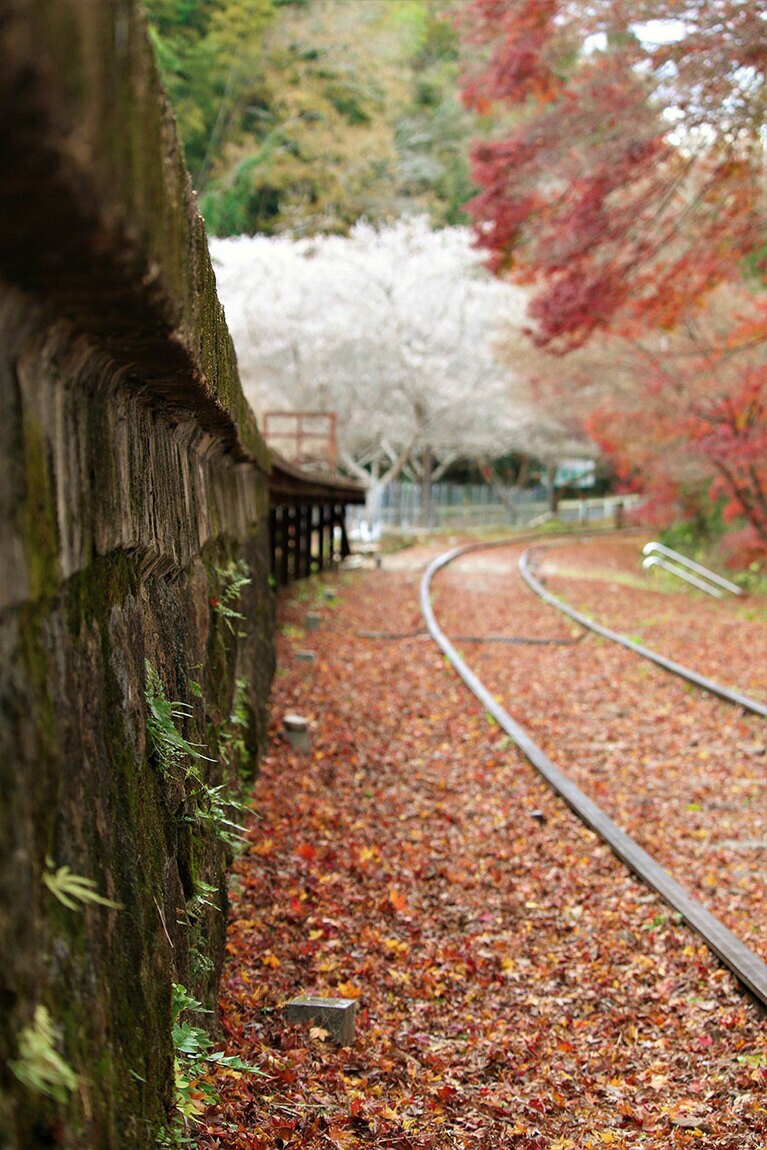 名鉄三河線廃線路。
