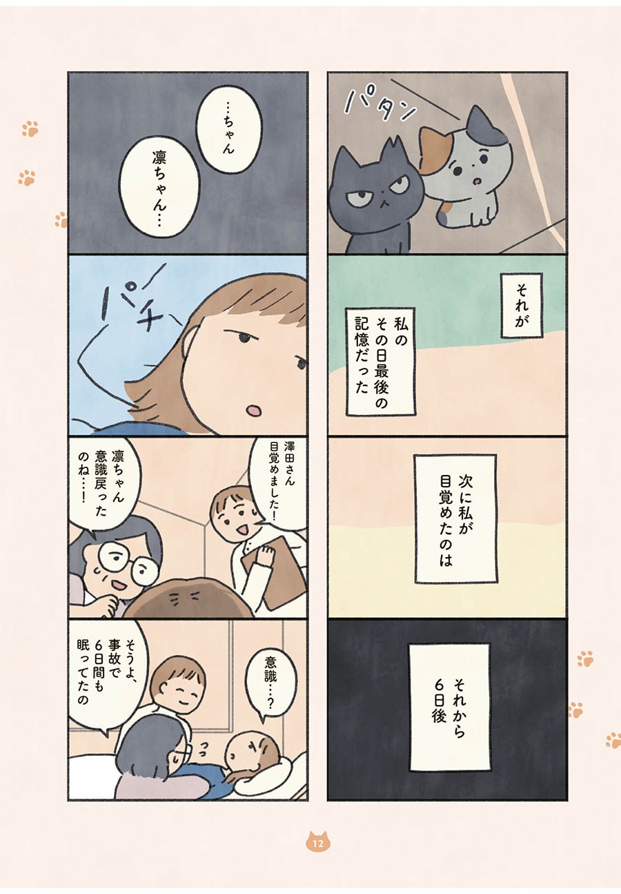 『もしもなんて来ないと思ってた猫』オキエイコ（実業之日本社）より。