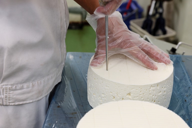 ブルーチーズはミルクの段階で青カビを加え、成形後に空気穴を空けてから熟成させる。