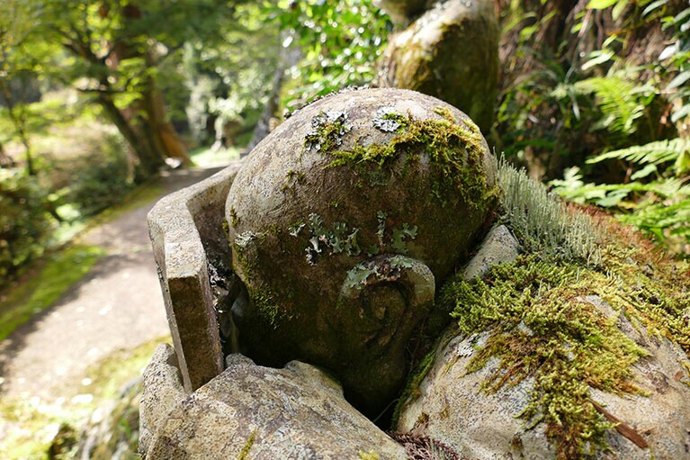 眼鏡を買ってあげたい。