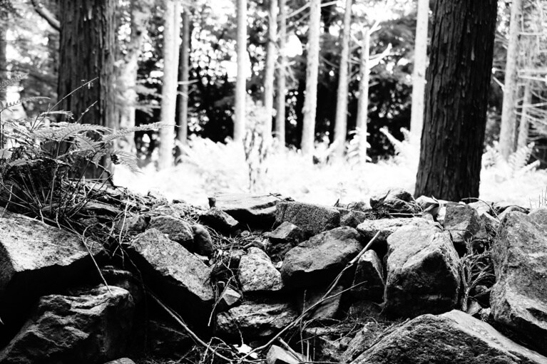 画像はイメージです。写真：travelclock/イメージマート