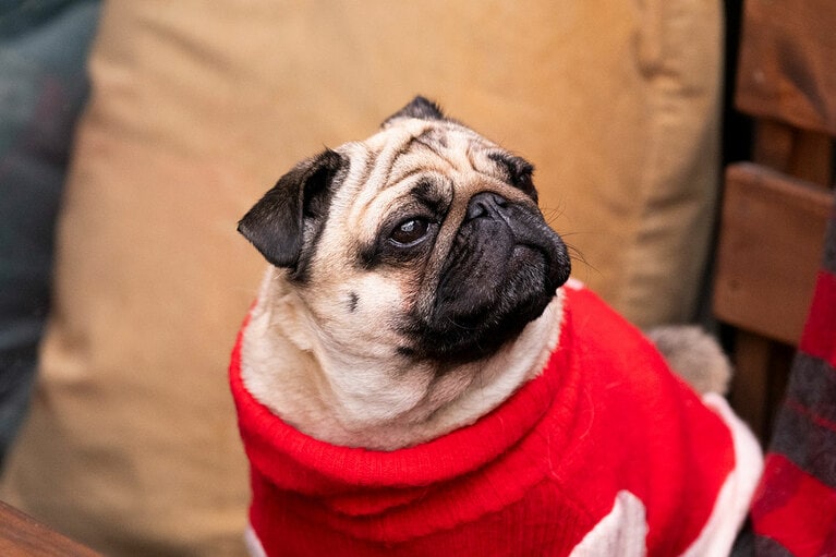 アザーカット。