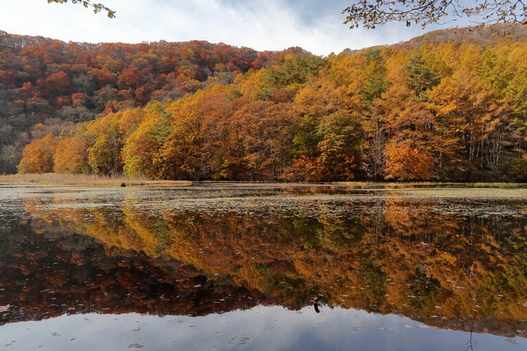 大峰山の紅葉。