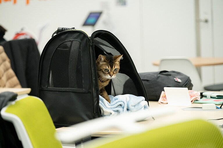 キャリーバッグで出勤。