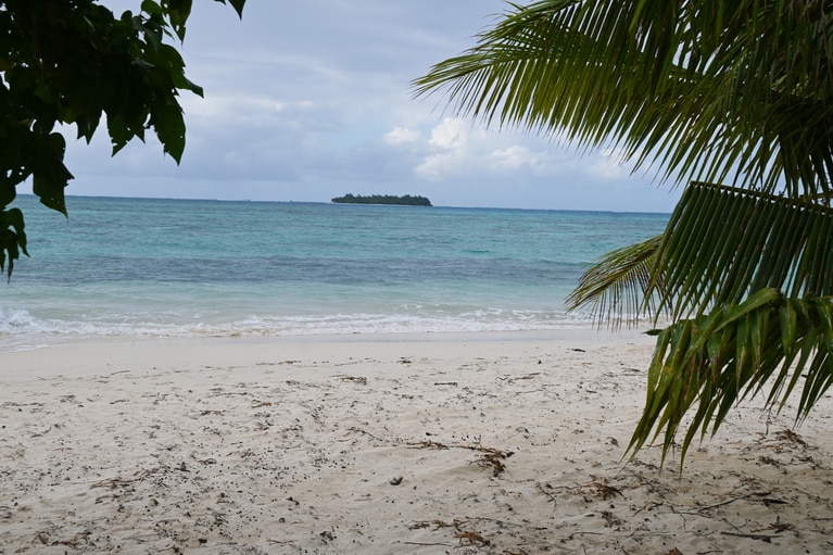 マイクロビーチは市民の憩いの公園内に。