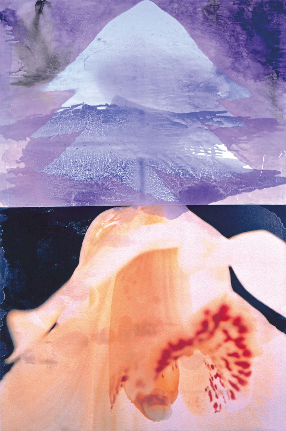 山口啓介《花の心臓/蘭、紫の雲》2002年／版画から立体まで様々なジャンルの作品を手がける。本展では、生花と造花を使って、自然と人工の対比を考える「カセットプラント」や絵画作品を展示。Photo：高嶋清俊