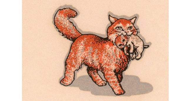 ネコマーク誕生のきっかけになった、アライド･ヴァン･ラインズ社の親子猫マーク。新たに発見された原案と通ずるものがある。