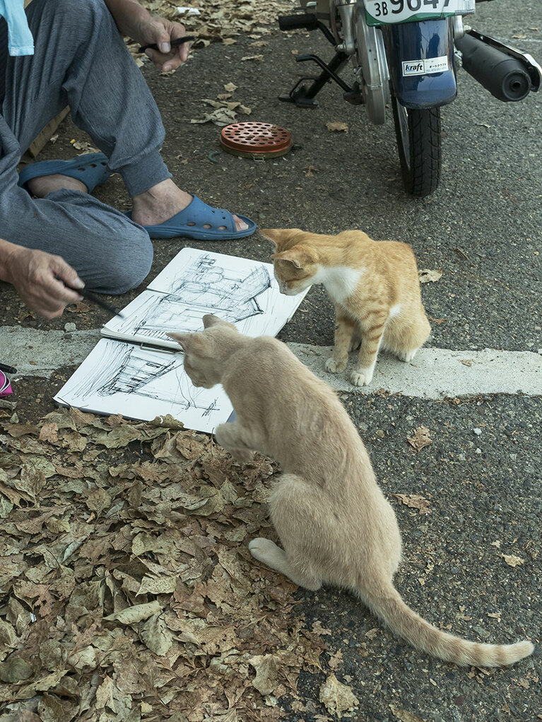 vol.057「ふむふむ……にゃかにゃか上手いものだニャ♪」「屋根のあたりにゃんか。よく特徴をとらえているのニャ♪」
