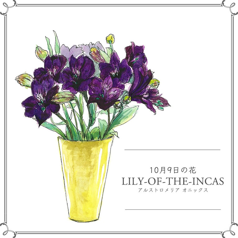 10月9日の花「アルストロメリア オニックス」