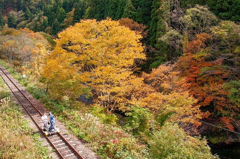 大館・小坂鉄道レールバイクの紅葉。画像提供：NPO法人大館・小坂鉄道レールバイク