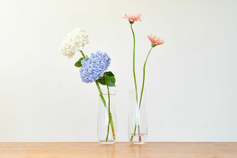 アジサイは深い水を、ガーベラは浅い水を好む。