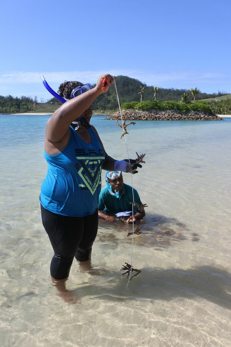 サンゴの欠片を細いロープに結びつけ、それを長いラインに何本も吊るします。