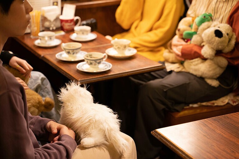 ©︎映画「ぬいぐるみとしゃべる人はやさしい」