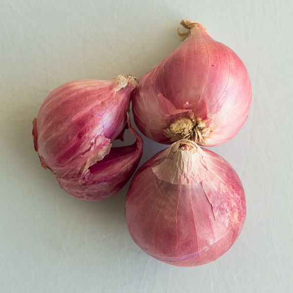 Key Item ホムデン。