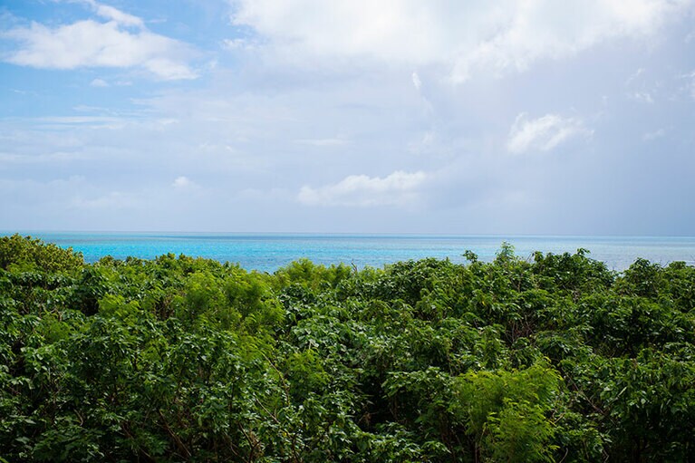 見晴台に上ると視界を遮るものは何もなく、ジャングルの先に輝く海が見える。
