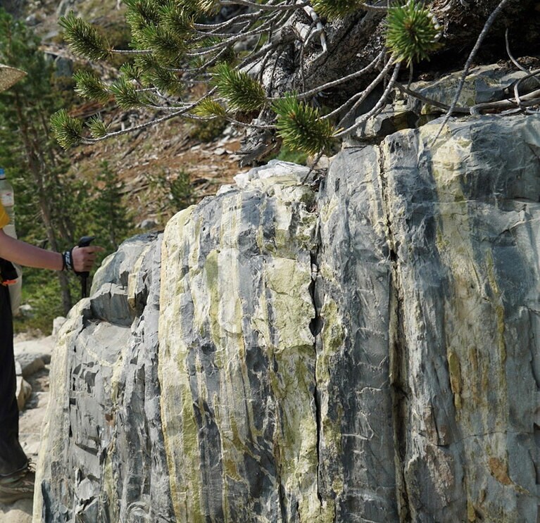 「こんな柄のスカートを履きたいです」（大橋さん）。写真提供：大橋未歩さん