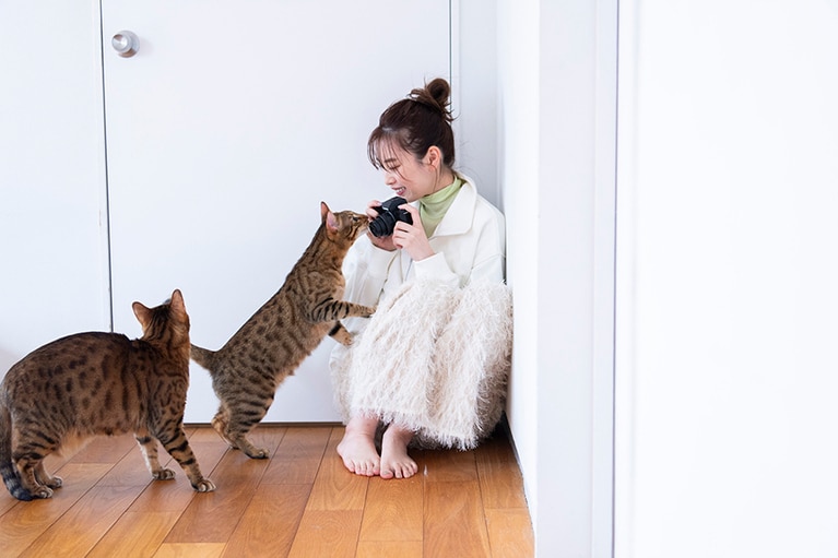宮田さんの愛猫、ベンガルの恭介くん（11歳♂）と虎太郎くん（写真・4歳♂）