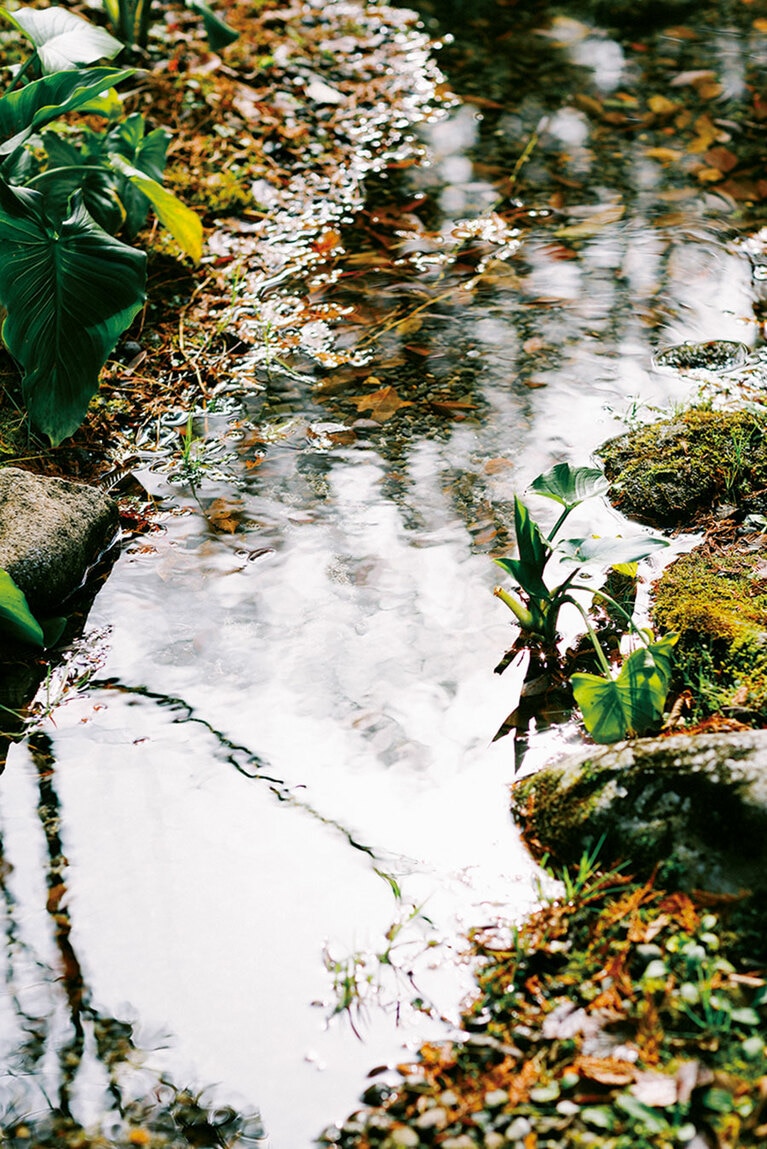敷地内を小川が流れ、せせらぎの音が自然のBGMになっている。