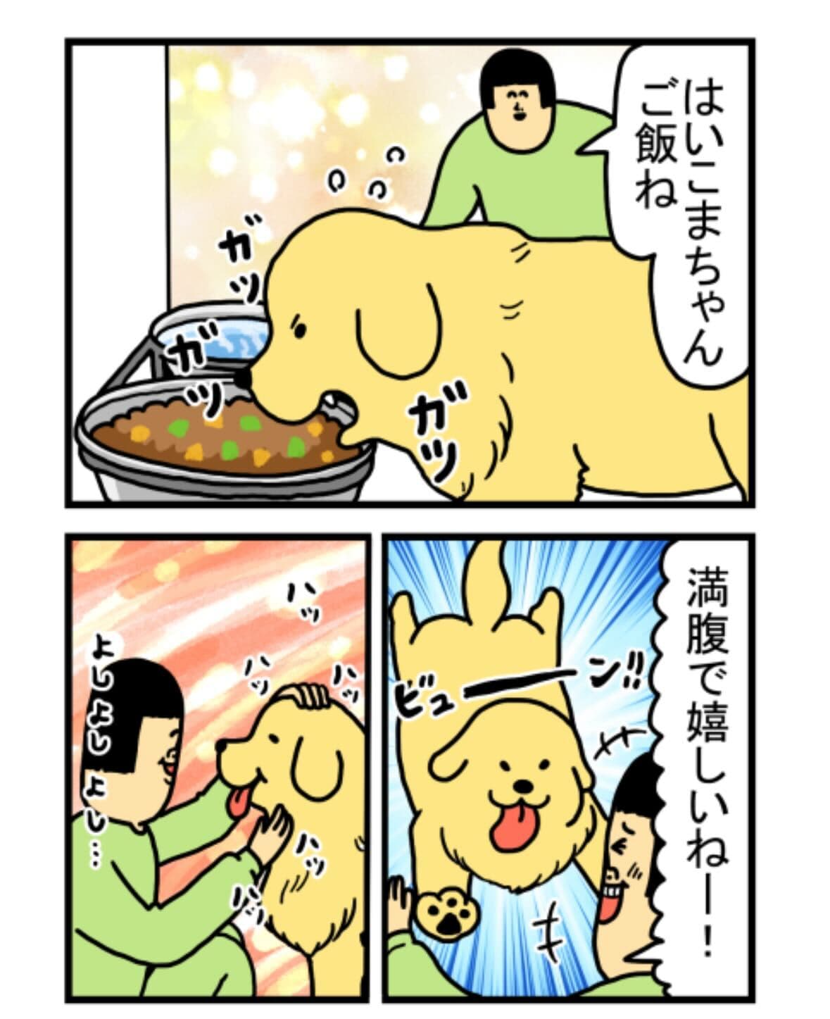 「犬って中におっさん入ってんの？って時ある」（2021年9月9日）