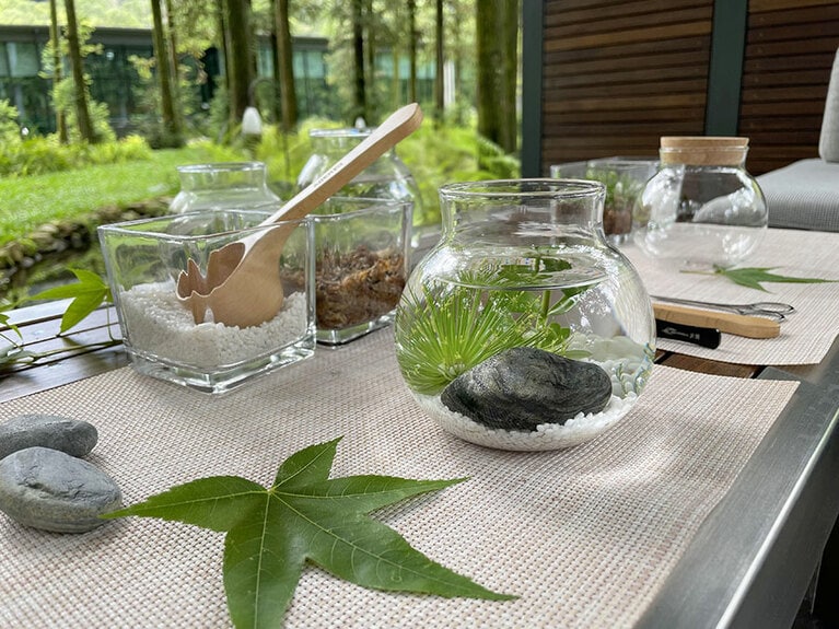 涼しげなテラトリウム。記念写真を撮って旅の思い出にしましょう。