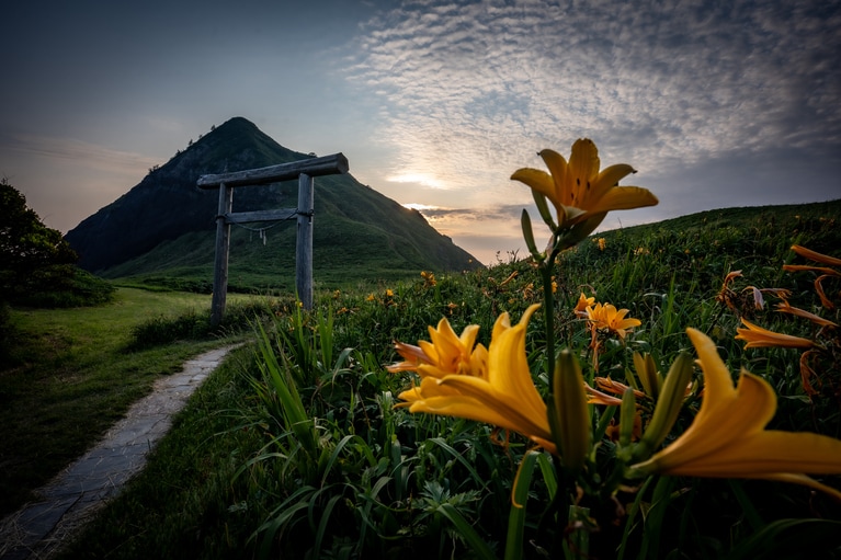 「初夏の佐渡島」　筧 悠里恵 「神へ続く花道」 大野亀。