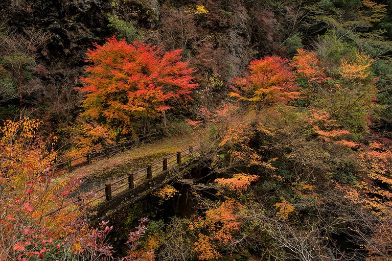 仲塔渓谷の紅葉。提供：宮崎県観光協会