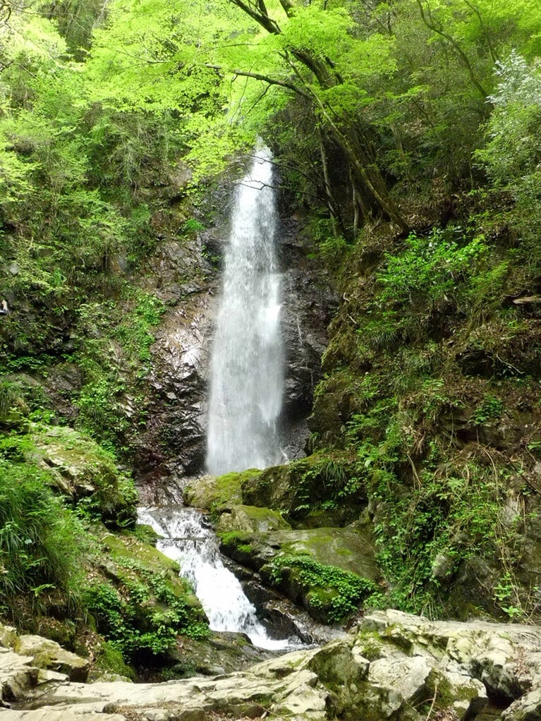 払沢の滝。