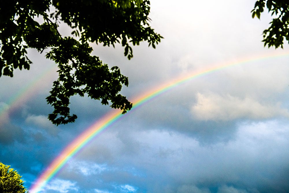 空を見上げると虹が現れ神秘的な雰囲気に。