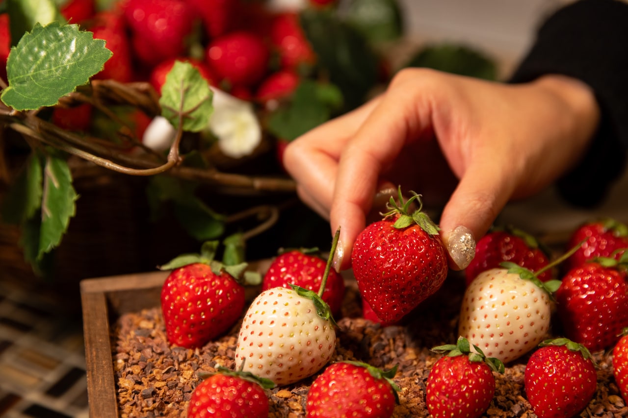 木箱いっぱいに積まれたフレッシュいちごを思うままに盛り付けて仕上げる“ショートケーキ体験”が登場。ふんわりとしたスポンジに、好みのいちごを自由にトッピングし、お気に入りのひと口を見つけて。
