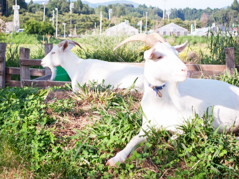 ホテルフォルクローロ花巻東和の希(左)＆陽(右)。