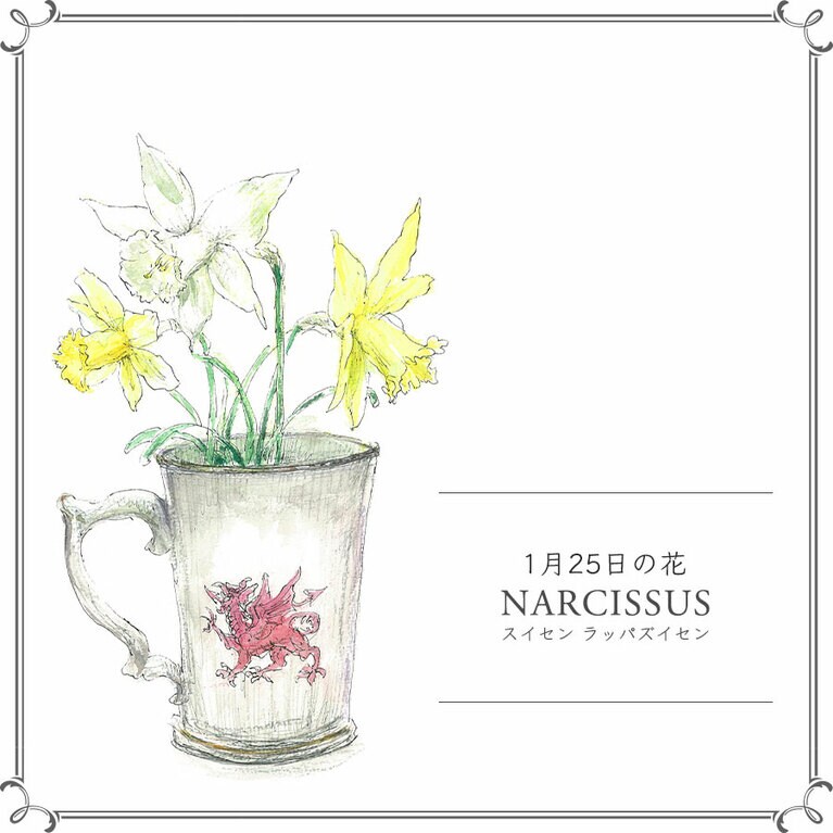 1月25日の花「スイセン ラッパズイセン」