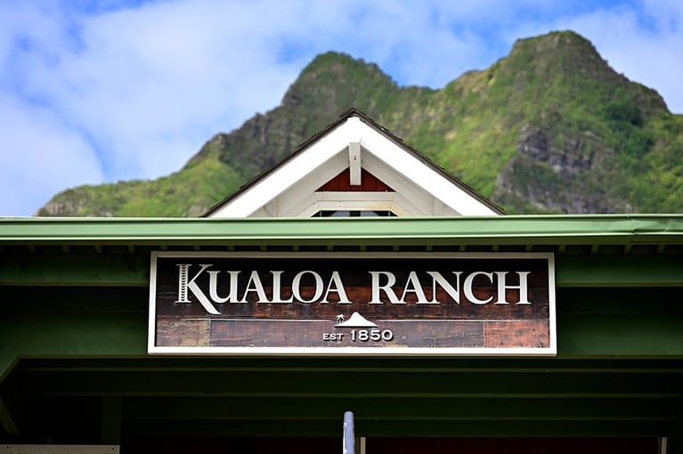 エントランス。