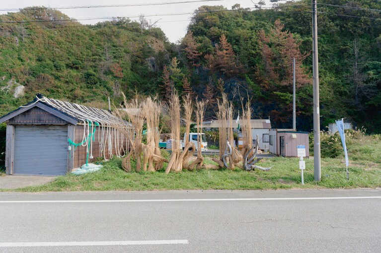 海と山の狭間に生きる／中村厚子（日本）