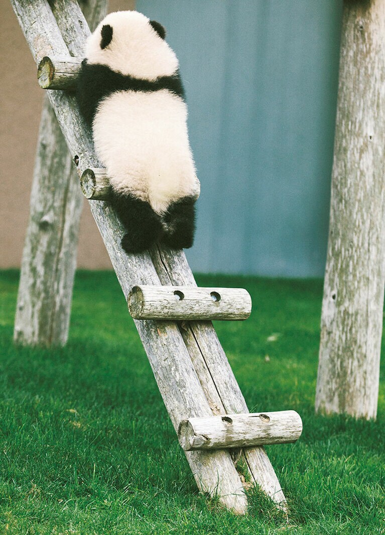 ヤバッ！ うまく下りられない！　「ハプニングの予感がします。うまく下りられず、転がり落ちてしまうかも……」(小澤さん)