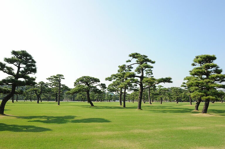 皇居。©文藝春秋