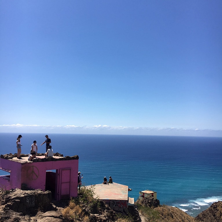 ピンク色がまぶしい〜〜。