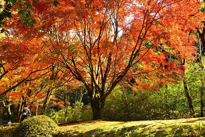 宮崎県 2022年版】 秋の絶景・風物詩6選 自然豊かな公園で清流と