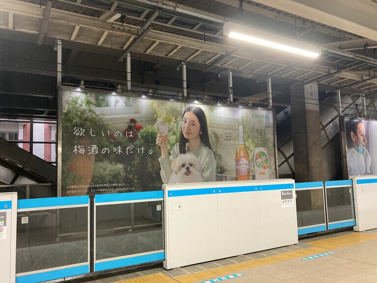 遠くから撮ってもでっかいモコゾウ。